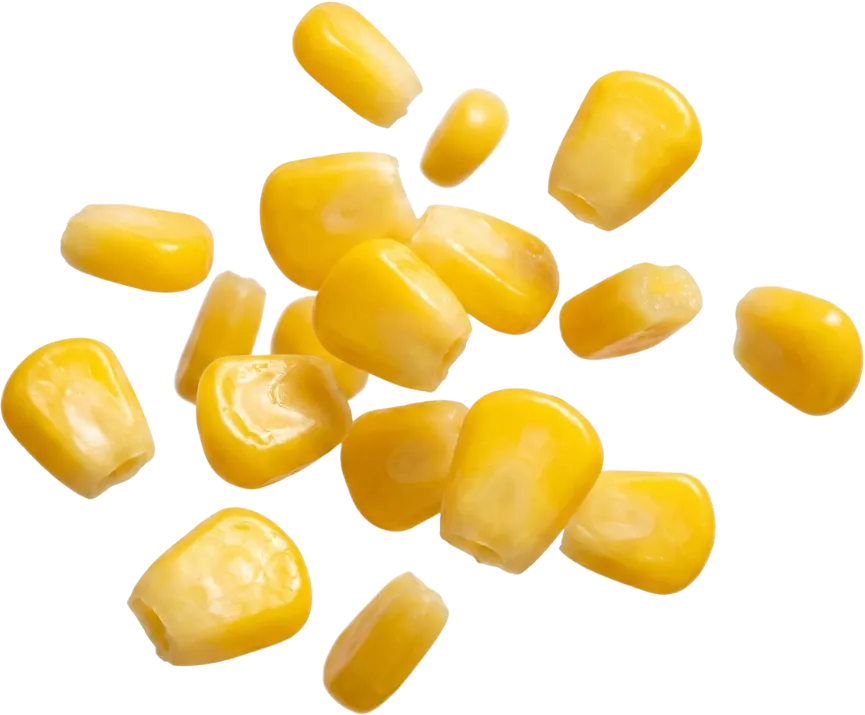 Sweet corn