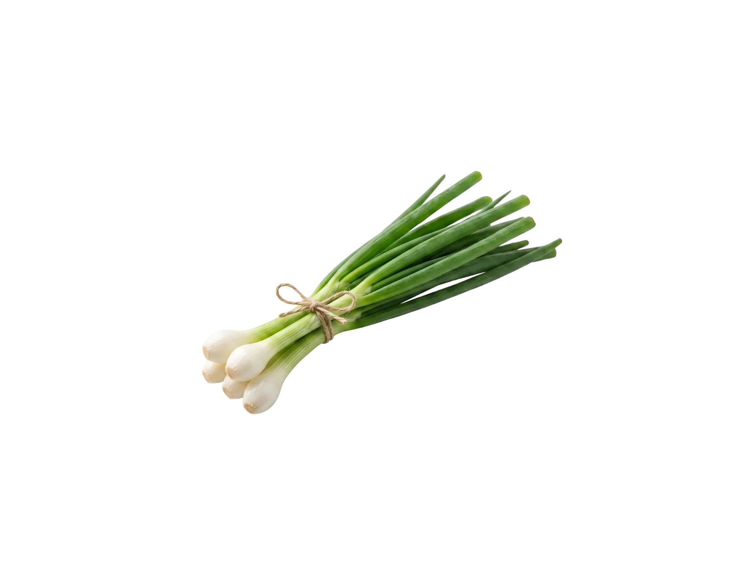 Fresh scallions